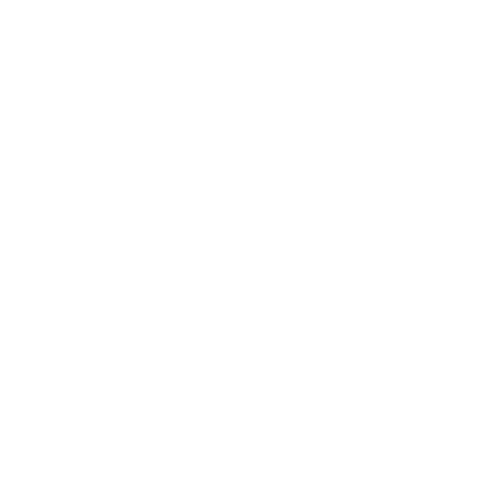 Black pixelated starburst pattern.