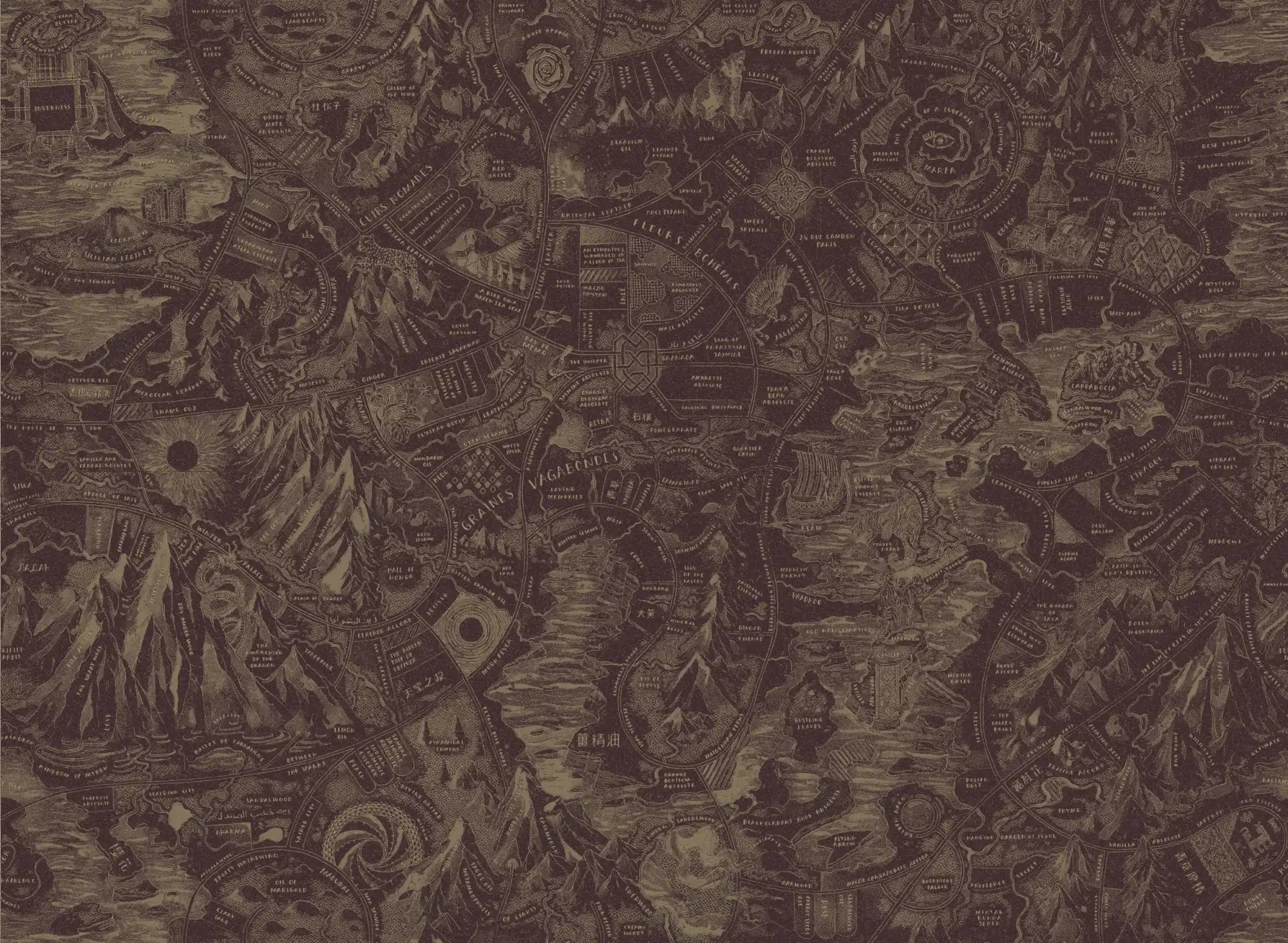 Detailed fantasy map.