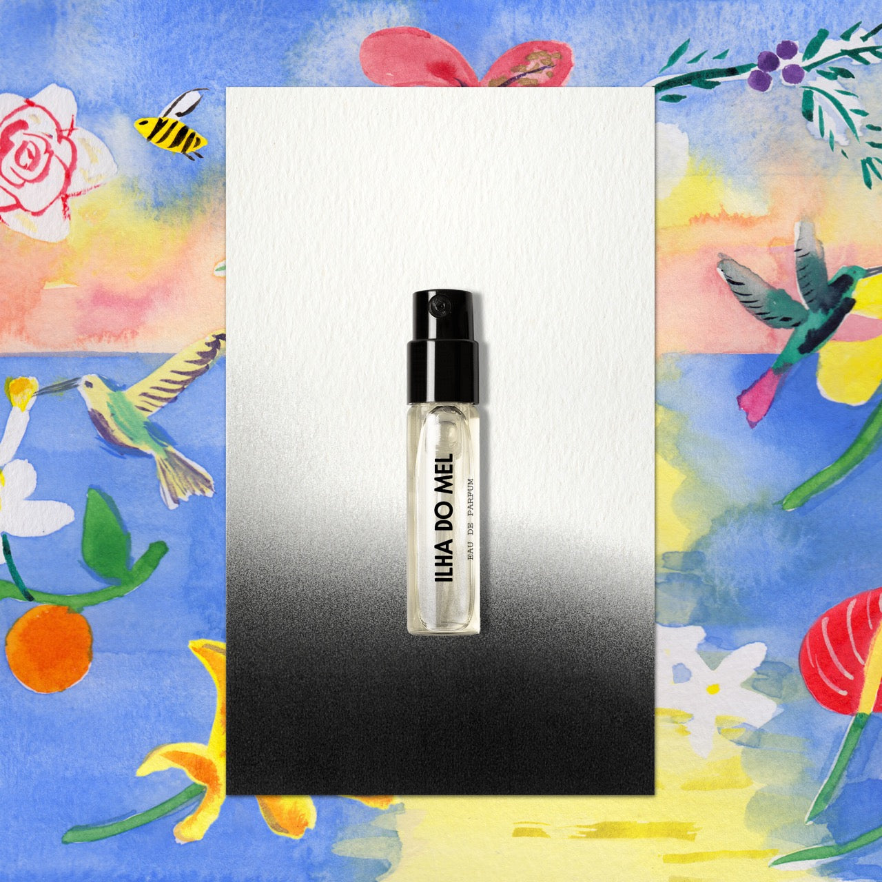 Ilha Do Mel - Eau de Parfum | Memo Paris